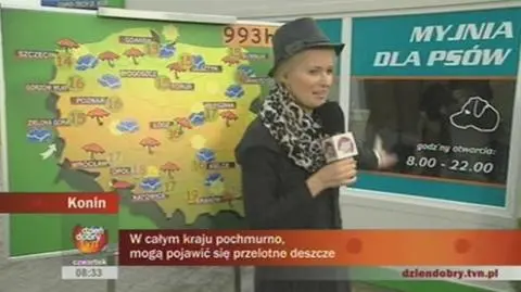 Psia myjnia w Koninie