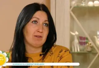 Ratuje lisy przed śmiercią. Zwierzęta były przeznaczone na futra