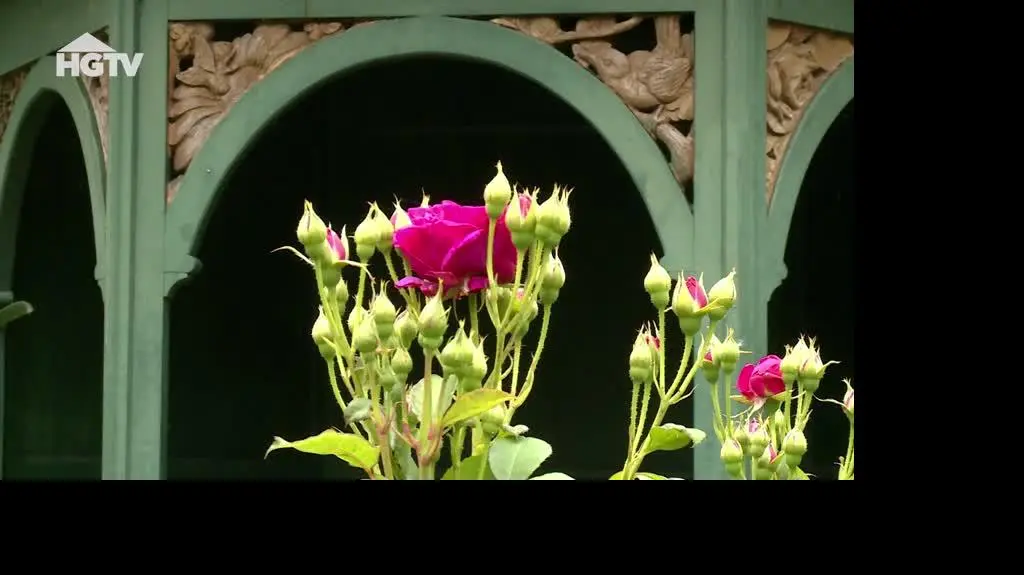 HGTV_MWO_Ule_Kompostownik