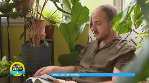 W mieszkaniu wyhodował sobie dżunglę: "Ceny roślin kończą się na kilku tysiącach złotych"