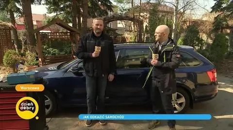 Jak odkazić samochód? Cała prawda o ozonowaniu
