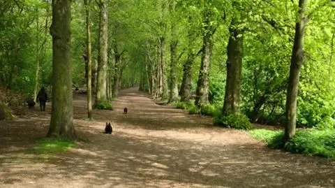 photo_8921152