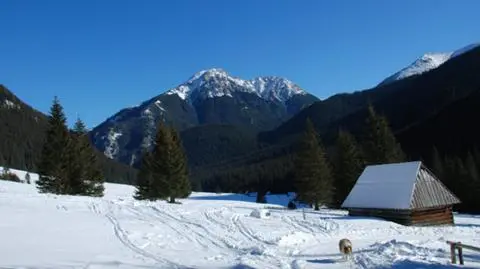 W domu Jana Kasprowicza 