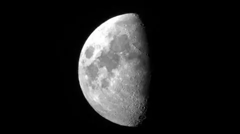photo_8921152