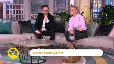 Zdziś i Nel - pieski, które są doskonałymi kompanami w życiu i w pracy