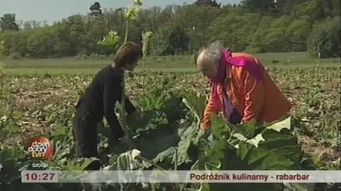 W krainie rabarbaru