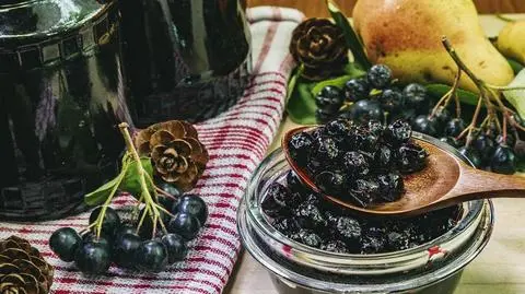 Aronia - uprawa, przycinanie i nawożenie | Dzień Dobry TVN