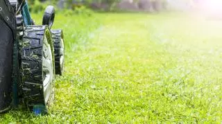 Wertykulacja trawnika – kiedy i jak należy ją wykonać?