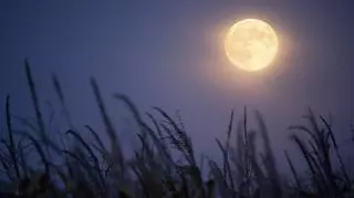 Pełnia Księżyca Myśliwych - czego się możemy po niej spodziewać?