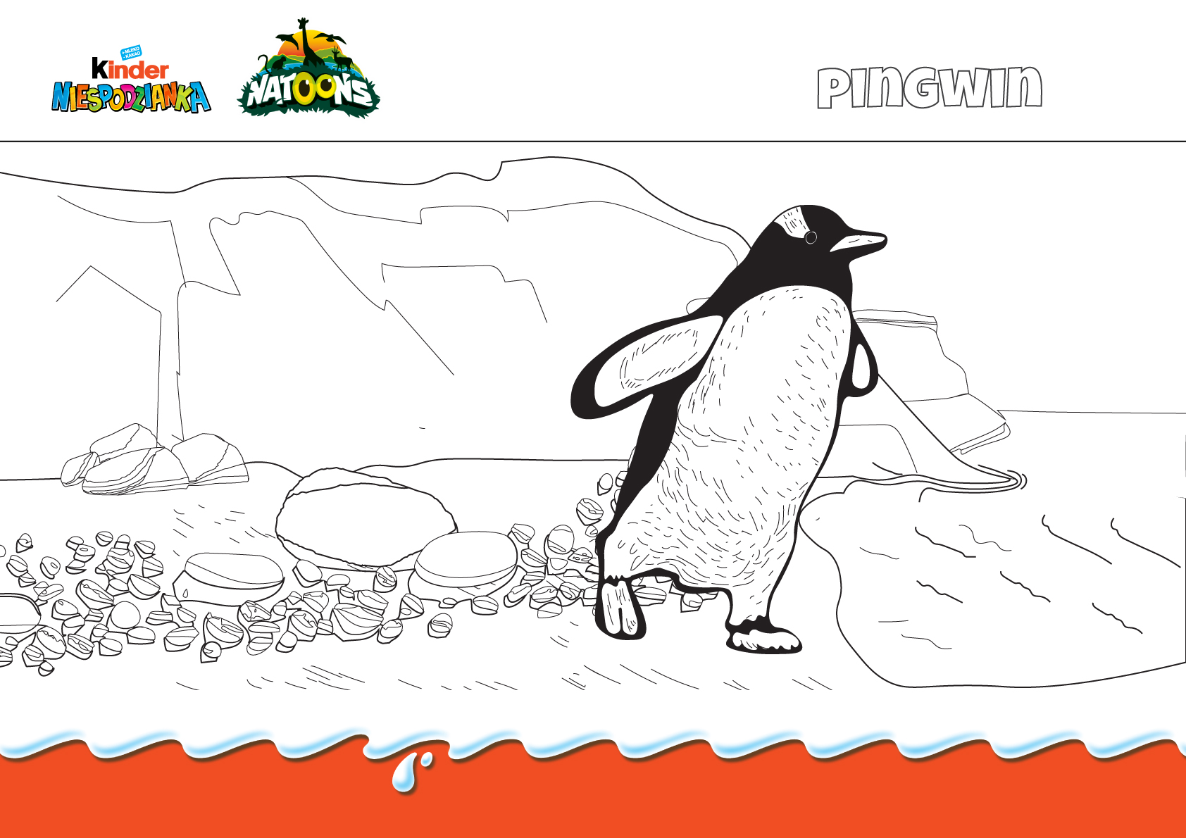 Kliknij i pobierz kolorowankę pingwina