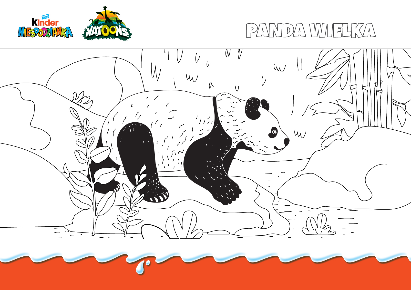 Kliknij i pobierz kolorowankę pandy wielkiej