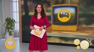 Newsy