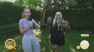 Pogoda na dziś