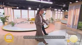 Sanepid ostrzega: fontanna nie służy do kąpieli - napisy