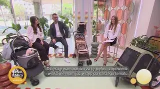 Pies w wózku - fanaberia czy odpowiedzialność?  - napisy