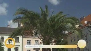 Moje najgorsze wakacje w życiu - napisy