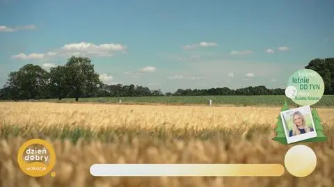 Klatka kluczowa-586813