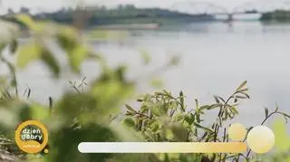 Wypadek sprawił, że została mistrzynią - napisy