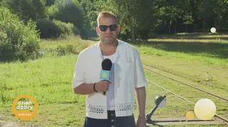 Co dziś w pogodzie?
