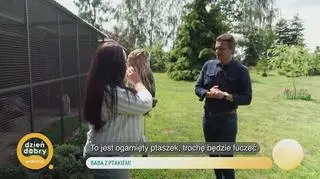Baba z ptakiem - napisy