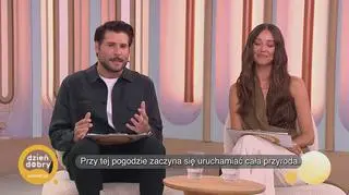 Sezon szerszeni – na co uważać? - napisy