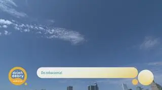 Fida w piosence "Kafejka na Ochocie" 