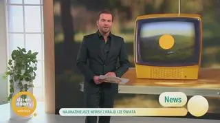 Newsy 3