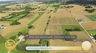 Jak wyglądają żniwa w Polsce? - napisy