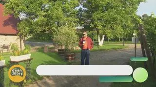 Pogoda na dziś - winobranie coraz bliżej 