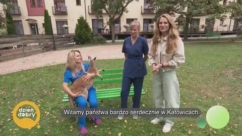 Klatka kluczowa-676888