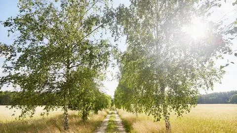 Upały nie na długo opuściły Polskę. Kiedy wrócą? 