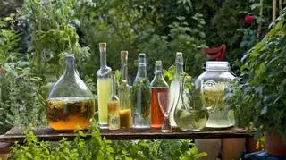 Butelki z octami w ogrodzie, jak zrobić ocet winny