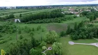 HGTV: Jak poradzić sobie z nadmiarem wody w ogrodzie?