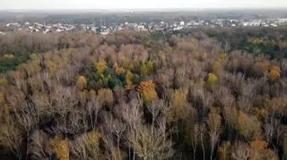 Uwaga! TVN: Od lat walczą o bezpieczne przejście kolejowe. "Trzeba chyba przelatywać helikopterem"