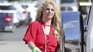 Britney Spears znowu niepokoi fanów. W godzinę opublikowała 11 nagich zdjęć