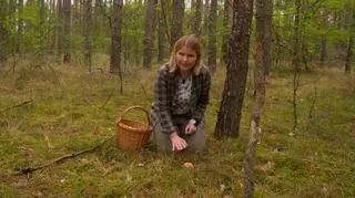 Jak przygotować się do grzybobrania? 
