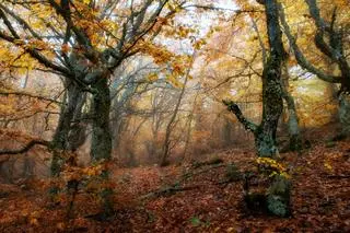 Pogoda na poniedziałek, 18.10.2021