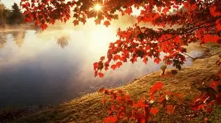 Jak narysować krajobraz w różnych porach roku?