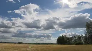 Uwaga: TVN. Mąż poderżnął gardło żonie