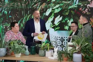 Jak dbać o rośliny zimą? 