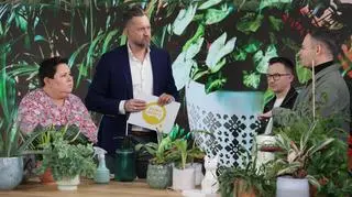 Jakie choroby mogą atakować domowe rośliny zimą? "One wtedy cierpią"