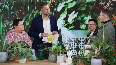 Jak dbać o rośliny zimą? 