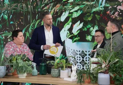 Jakie choroby mogą atakować domowe rośliny zimą? "One wtedy cierpią"