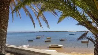 Co warto zobaczyć w Ria Formosa? Naturalna laguna Portugalii