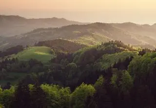 Schwarzwald – dlaczego warto się tam wybrać?