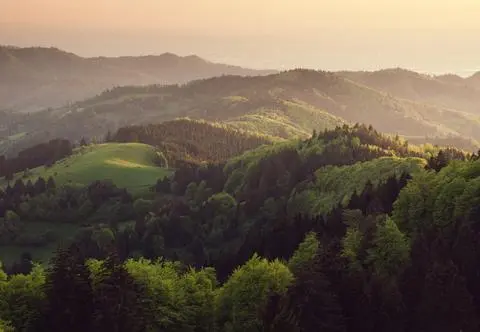 Schwarzwald – dlaczego warto się tam wybrać?