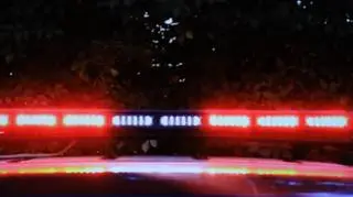 Samochód uderzył w drzewo i stanął w płomieniach. Ucierpiała 14-latka 