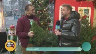 Pogoda na dziś. Jak wybrać dobrą choinkę?