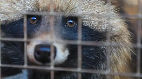 Myślała, że ratuje psa. Niecodzienna interwencja policji w Lidzbarku Warmińskim
