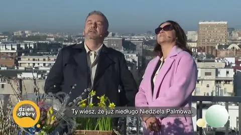 DD_20250404_Palmy_REP_napisy